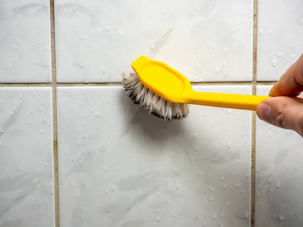 Best Bathroom Mold Remediation in New Market, VA