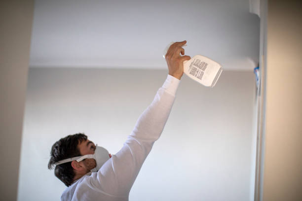 Best Post-Flood Mold Remediation in New Market, VA
