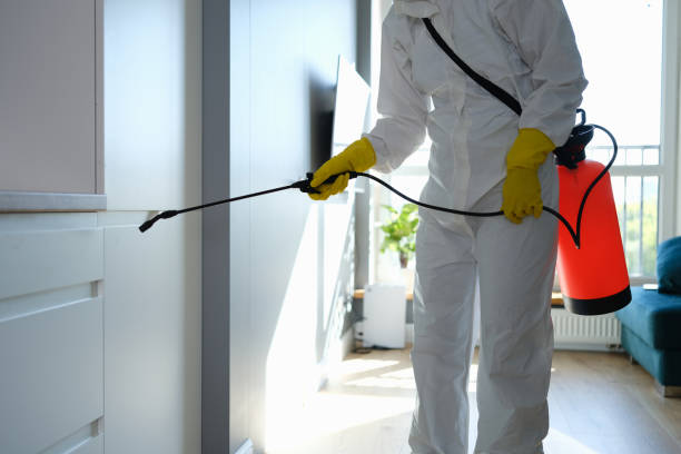 Best HVAC Mold Remediation in New Market, VA