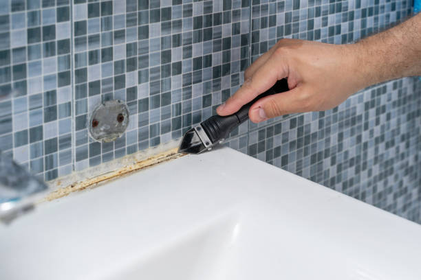 Best Insurance-Related Mold Remediation in New Market, VA